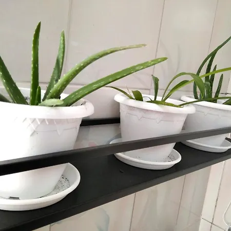 La Casa Di Gio Ed Eli * Voghera