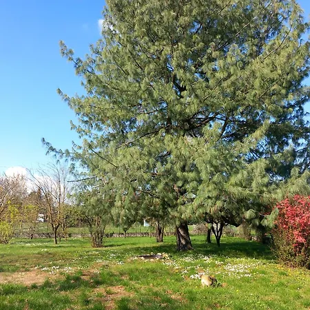 La Casa Di Gio Ed Eli Prázdninový dům *