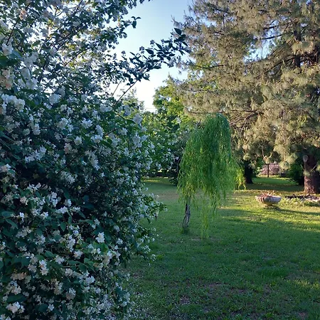 La Casa Di Gio Ed Eli *