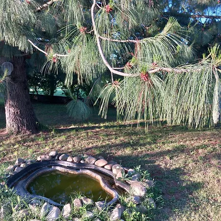 La Casa Di Gio Ed Eli *