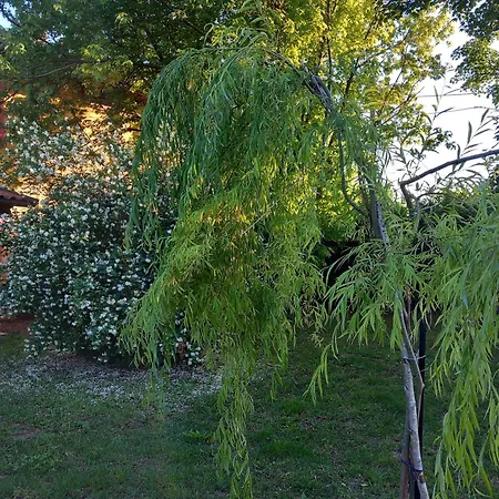 La Casa Di Gio Ed Eli