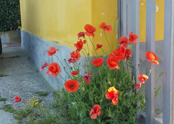 La Casa Di Gio Ed Eli Hébergement de vacances Voghera