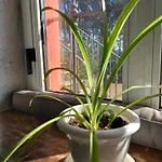 Дом отдыха La Casa Di Gio Ed Eli *