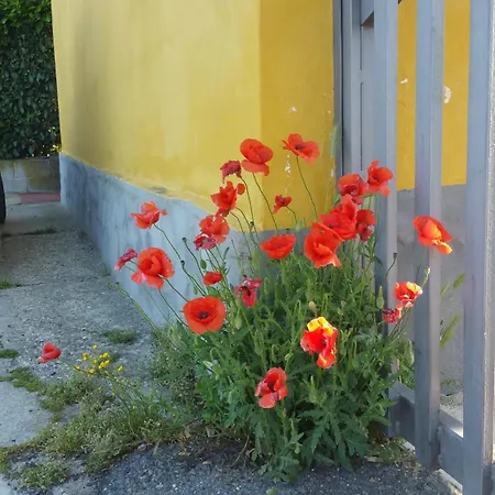 La Casa Di Gio Ed Eli Tatil Evi Voghera