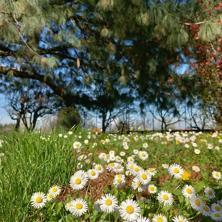 La Casa Di Gio Ed Eli Tatil Evi Voghera